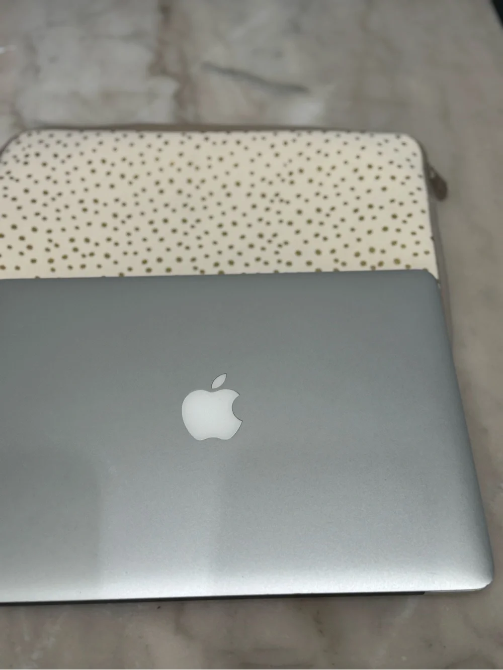Apple Silver MacBook with Classic Apple Logo does not power on